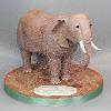 Elephant cake. Price band H